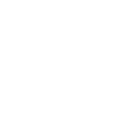 Wake_logo.png